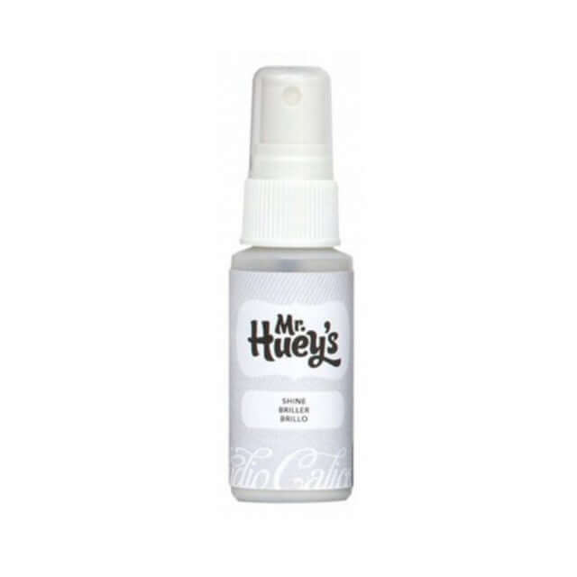 shine craft paint spray Mr. Huey's/ بخاخ لمعة للوح الفنية